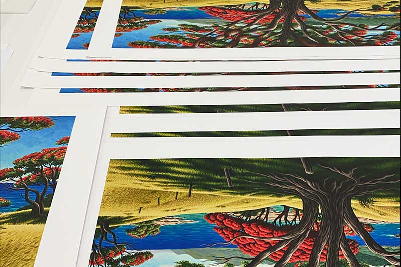 Tony Ogle's Old Man Pohutukawa Lottin Point prints fanned out across the studio bench